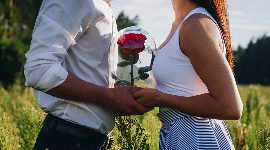 ein gegenüberstehndes, händehaltendes Pärchen, verbunden durch eine rote Rose auf einer grünen Weidefläche. Im Hintergrund ein Buchenhain bei strahlendem Sonnenschein.